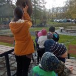phoca_thumb_m_zatmn a zajci 23 Fotogalerie